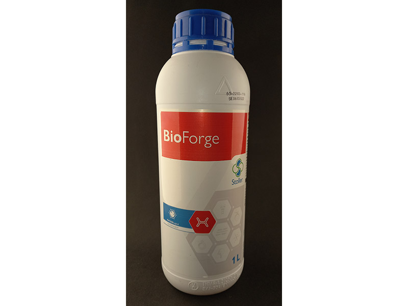 Bioforge A Stoller